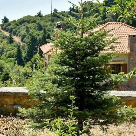 Villa Forest View House Seta