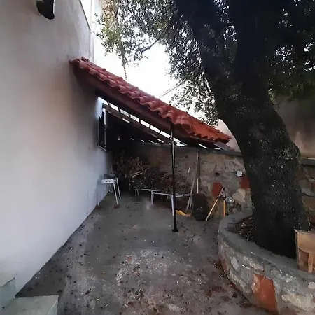 Forest View House Seta