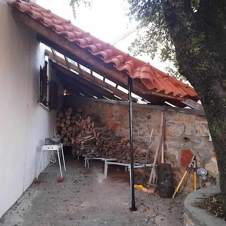 Forest View House Villa