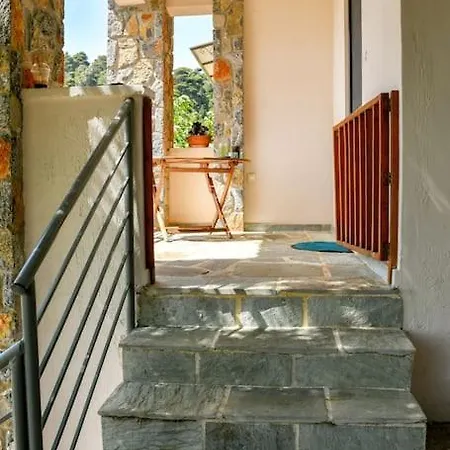 Forest View House Willa *