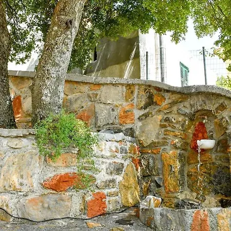 Forest View House Willa *