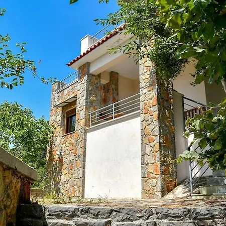 Forest View House Willa Seta