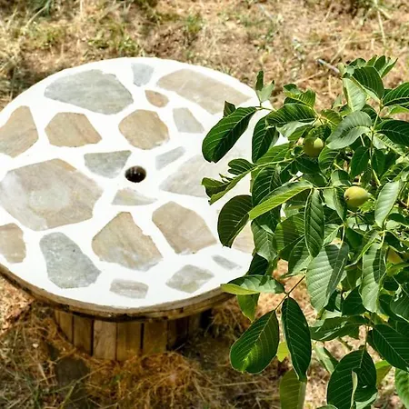 Forest View House Βίλα