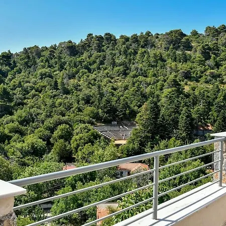 Willa Forest View House *