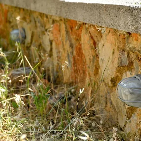 Forest View House Βίλα *