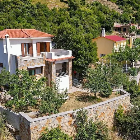 Forest View House Villa *