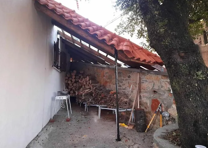 Forest View House Βίλα