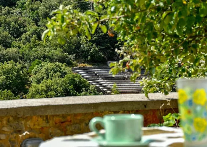 Forest View House Βίλα *