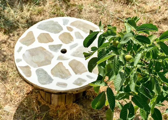 Forest View House Βίλα