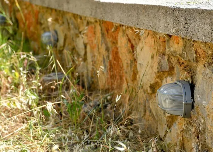 Forest View House Βίλα *